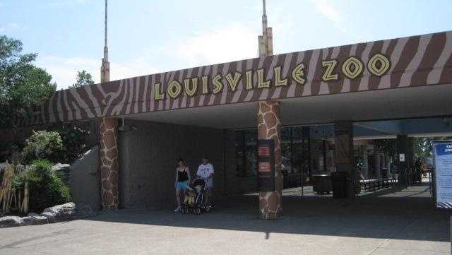 Louisville Zoo hosts job fair