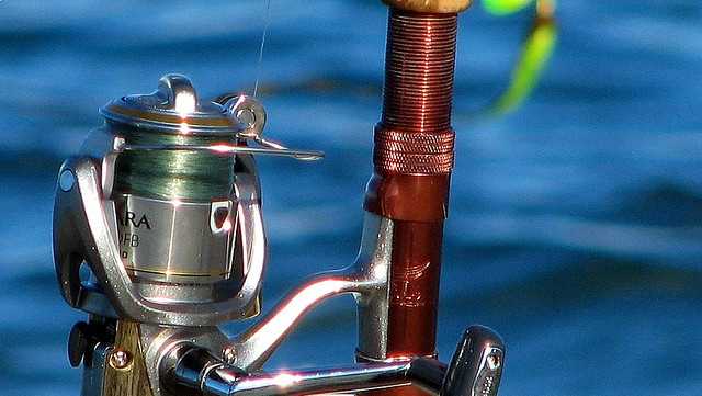 Spring fishing: Everything to know before you cast your line