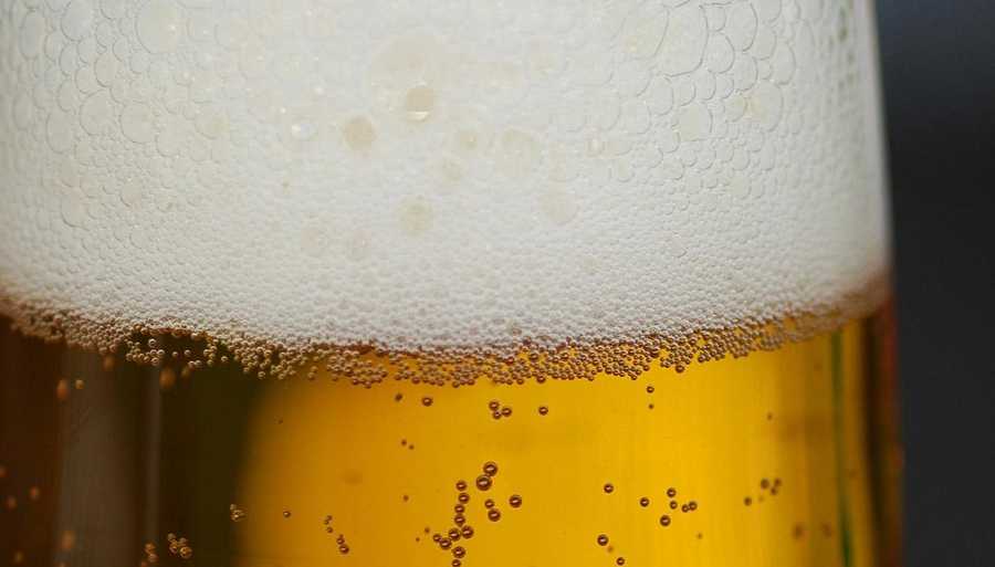 2nd Annual Brew Ash beer and music festival in Summit Park takes place