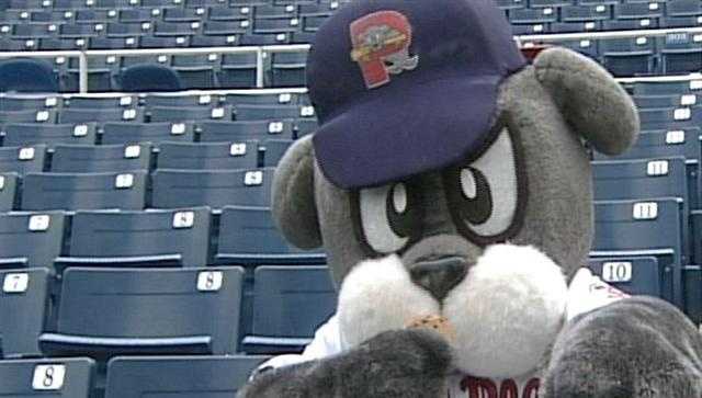 Mascot Hall of Fame nominates Slugger for more awards - Vimarsana News