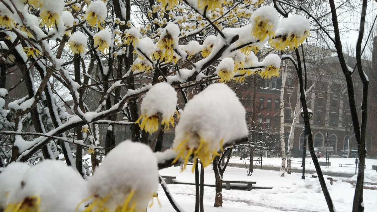 April snow? Maine has a long history of big spring storms