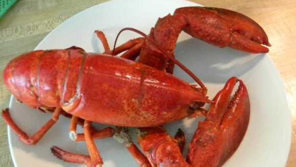 We'll Take Your Lobsters, Eh? Canadian Imports From Us Soar