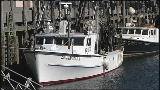 Haddock is in decline in Gulf of Maine, regulators say - Vimarsana News