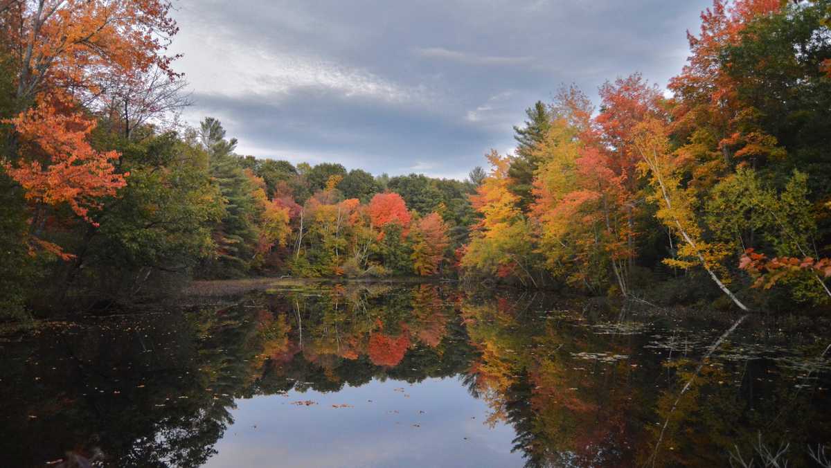Leaves start to turn in Maine as leafpeeping nears