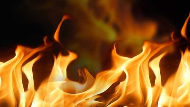 Animals killed, person hospitalized in Caribou fire - Vimarsana News