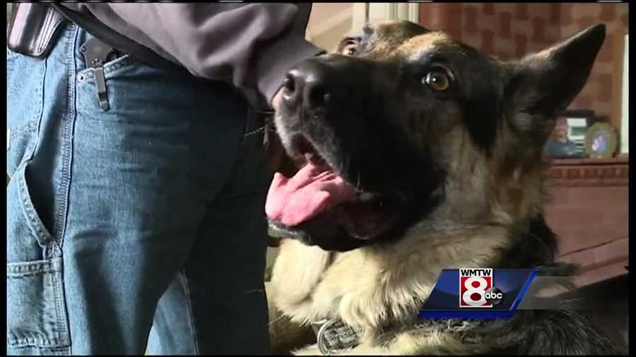 The misrepresentation of service dogs in Maine has become such a large issue that the Legislature tasked a panel to find a way to resolve it.