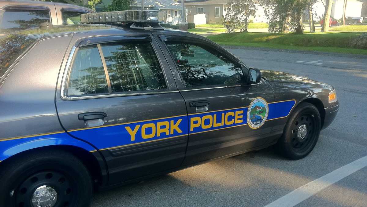 Fake skull, ashes among lost items being held by York Police Department