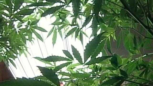 Protest over medical marijuana regulation at the State House