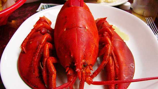 You can support the local seafood industry and save on dinner - Vimarsana News