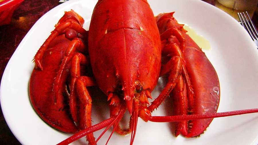 Gulf of Maine Research Institute's Split the Seafood Bill Day.