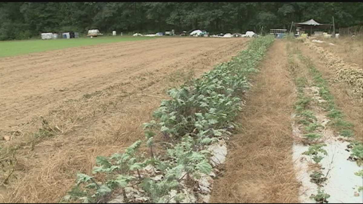 NH House approves letting farmers carry loaded rifles in fields