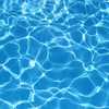 Fun things to do on the Treasure Coast and in Palm Beach this weekend