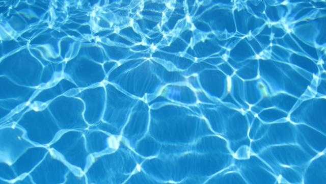 Fun things to do on the Treasure Coast and in Palm Beach this weekend