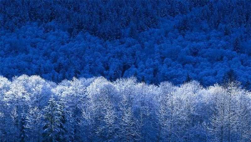 Lake Worth Beach Electric Utilities urges customers to save power during cold weather