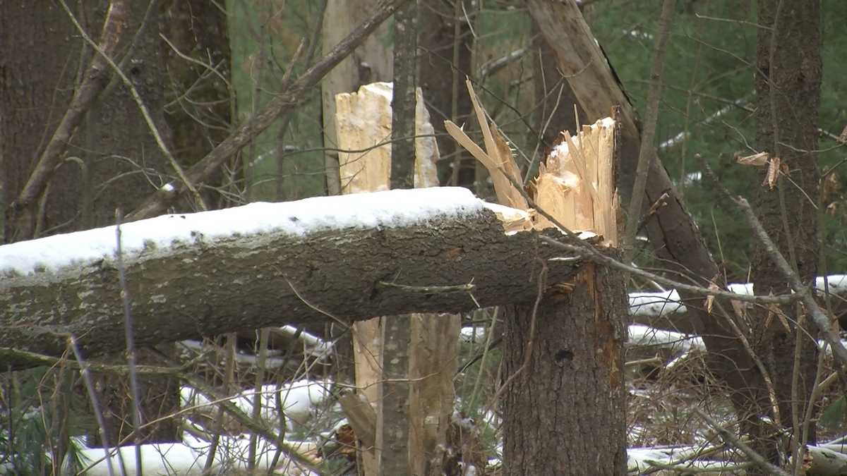 Peak wind gusts around New England and New York