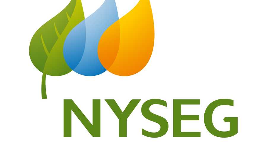03-03-13 nyseg adds power plant surcharge - img