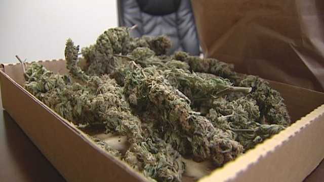Recreational dispensary openings continue in New York - Vimarsana News