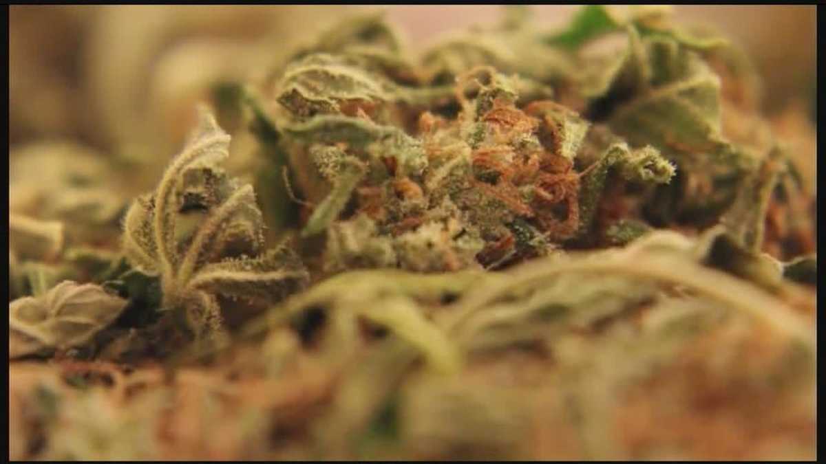 New York State officials urge cannabis safety during National Poison Prevention week