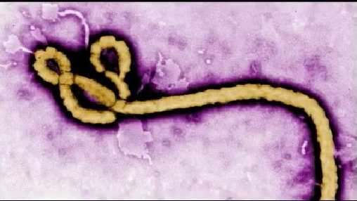 Revisiting Vermont's experience preparing for Ebola, as new outbreak rages in Africa