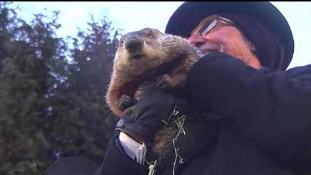 Punxsutawney Phil's handler speaks with '4 The Record'