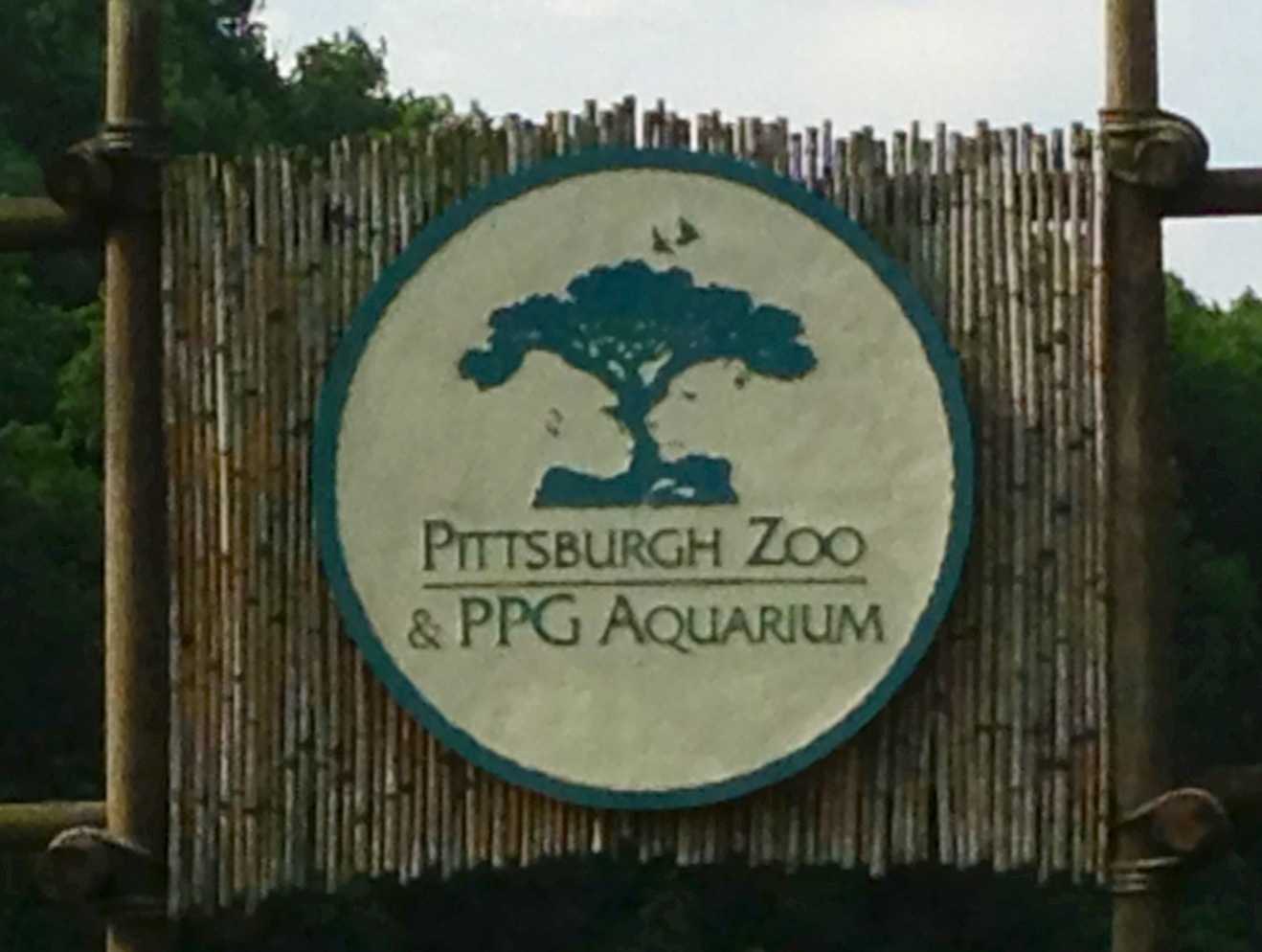 Pittsburgh Zoo & PPG Aquarium Offering Free Admission