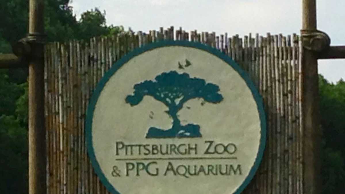 Pittsburgh Zoo offering free admission later this month