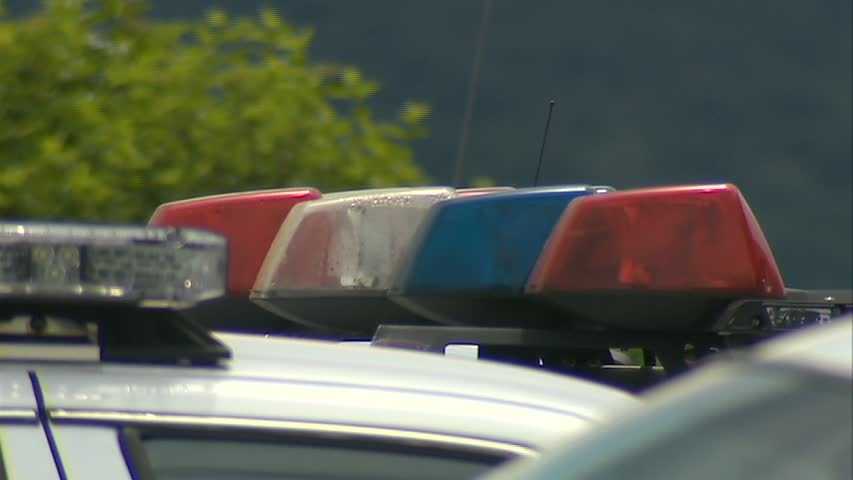 Whitehall man charged after alleged meat cleaber attack