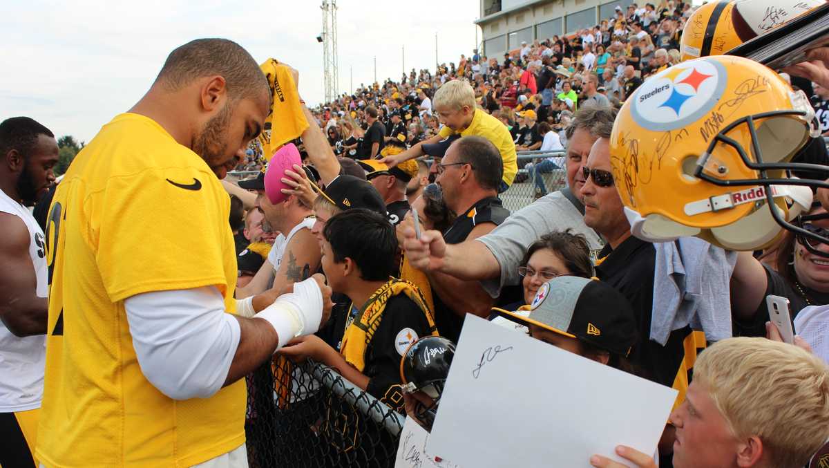 Peachtree Ridge grad Cameron Heyward earns Steelers' Walter Payton