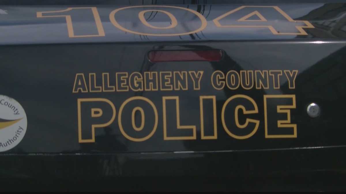 Allegheny County couple accused of child abuse