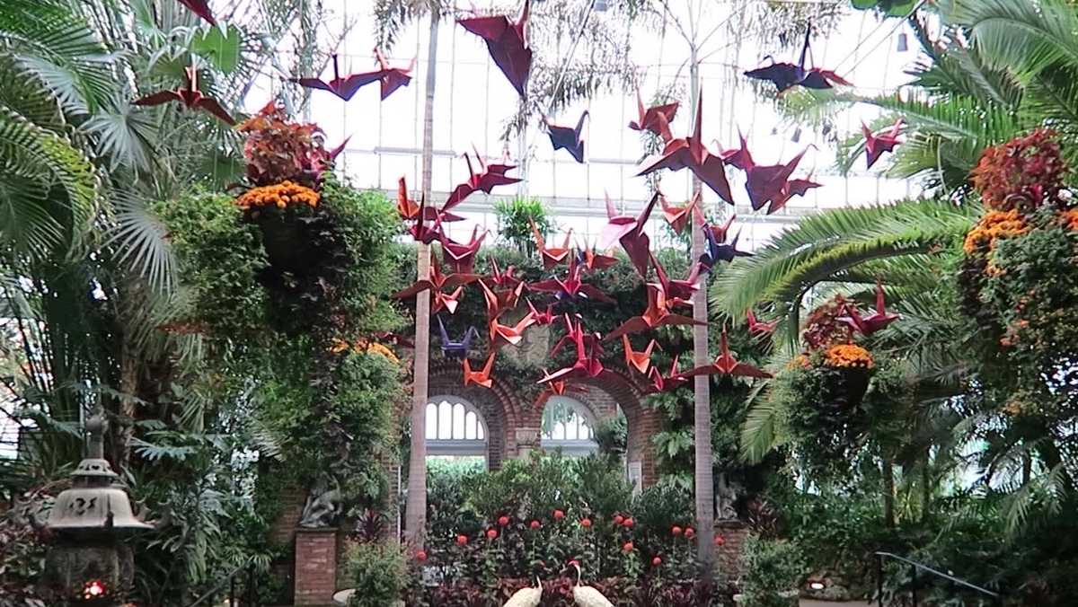 Phipps Conservatory's Fall Flower Show: Rhythm and Blooms kicks off