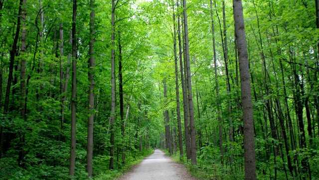 Gov. Wolf announces three new state parks coming to Pennsylvania - Vimarsana News