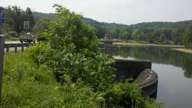 Black bear spotted swimming at lake in Allegheny County park