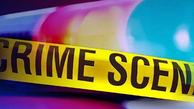 Police: Suspected kidnapper apparently killed himself after two shot in domestic violence incident - Vimarsana News