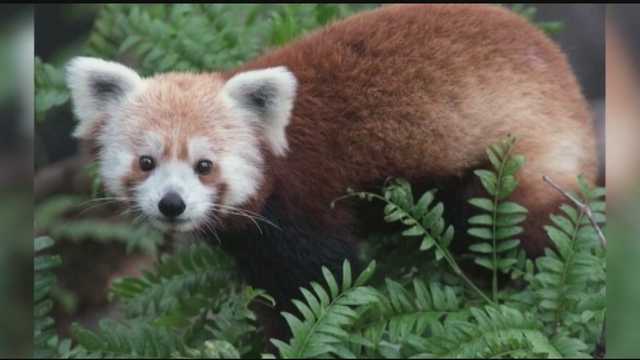 North Carolina's Greensboro Science Center bids animals farewell - Vimarsana News