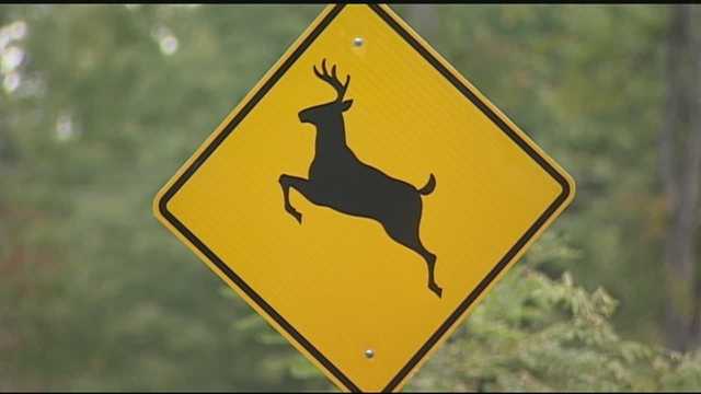 NC wildlife experts report harvesting increase after hunting season - Vimarsana News