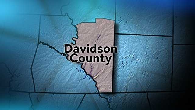 Davidson County passes symbolic Second Amendment protection 