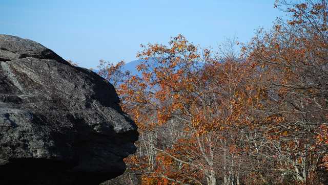 North Carolina: Man visiting sister dies after at Grandfather Mountain - Vimarsana News
