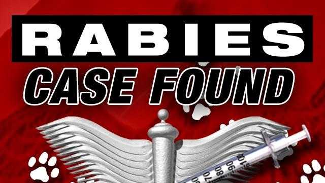 North Carolina: Dog attacked by rabid fox in Burlington, first rabies case of the year for Alamance County - Vimarsana News