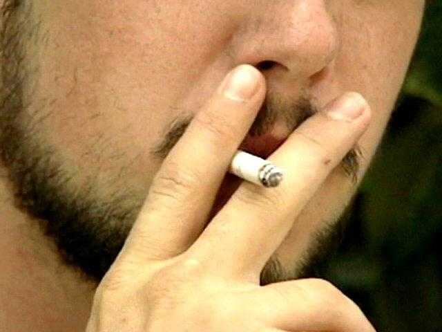 forest fire smoke vs cigarette smoke With Michigan stuck in an unprecedented stretch of heavy wildfire blanketing the state, armchair health experts and amateur weather forecasters seem to be converging at a rapid rate on social media Wildfire smoke contains tiny PM2.5