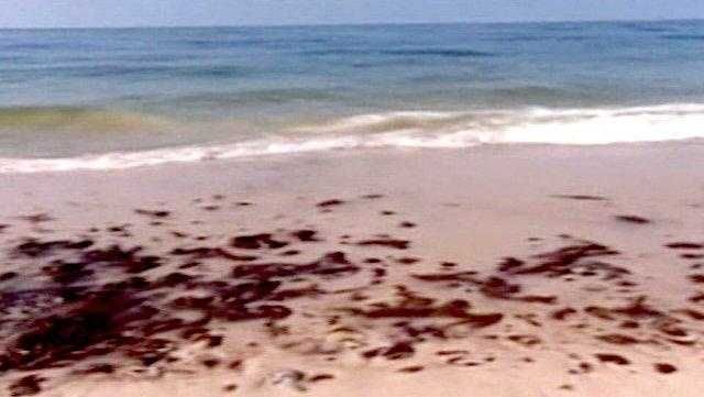 North Carolina: Teen dies after being trapped in a hole of sand at a beach, park officials say - Vimarsana News