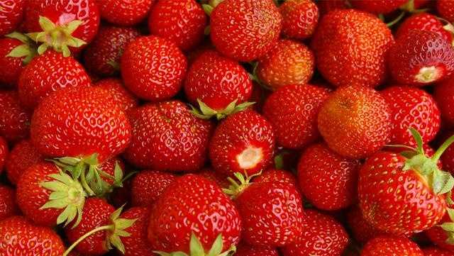 Drought is impacting strawberry growing season in a surprising way in North Carolina