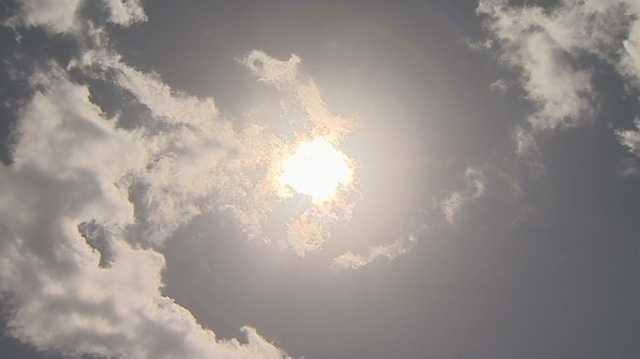 South Carolina: Weather March 29 - Vimarsana News