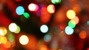 SC: Man turns home into Christmas haven to create their holiday memories - Vimarsana News
