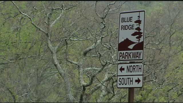 Blue Ridge Parkway: Trike driver killed avoiding fallen tree - Vimarsana News