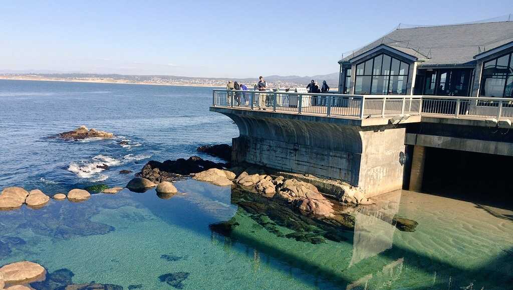 Free Monterey Bay Aquarium admission for Central Coast residents