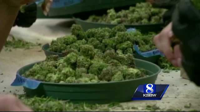 Monterey city leaders approve Cannabis Business Ordinance - Vimarsana News