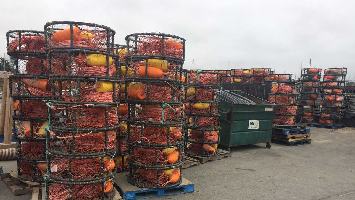 California crab fisheries to close early to protect whales