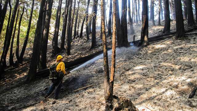 Looking back at the Soberanes Fire seven years later - Vimarsana News