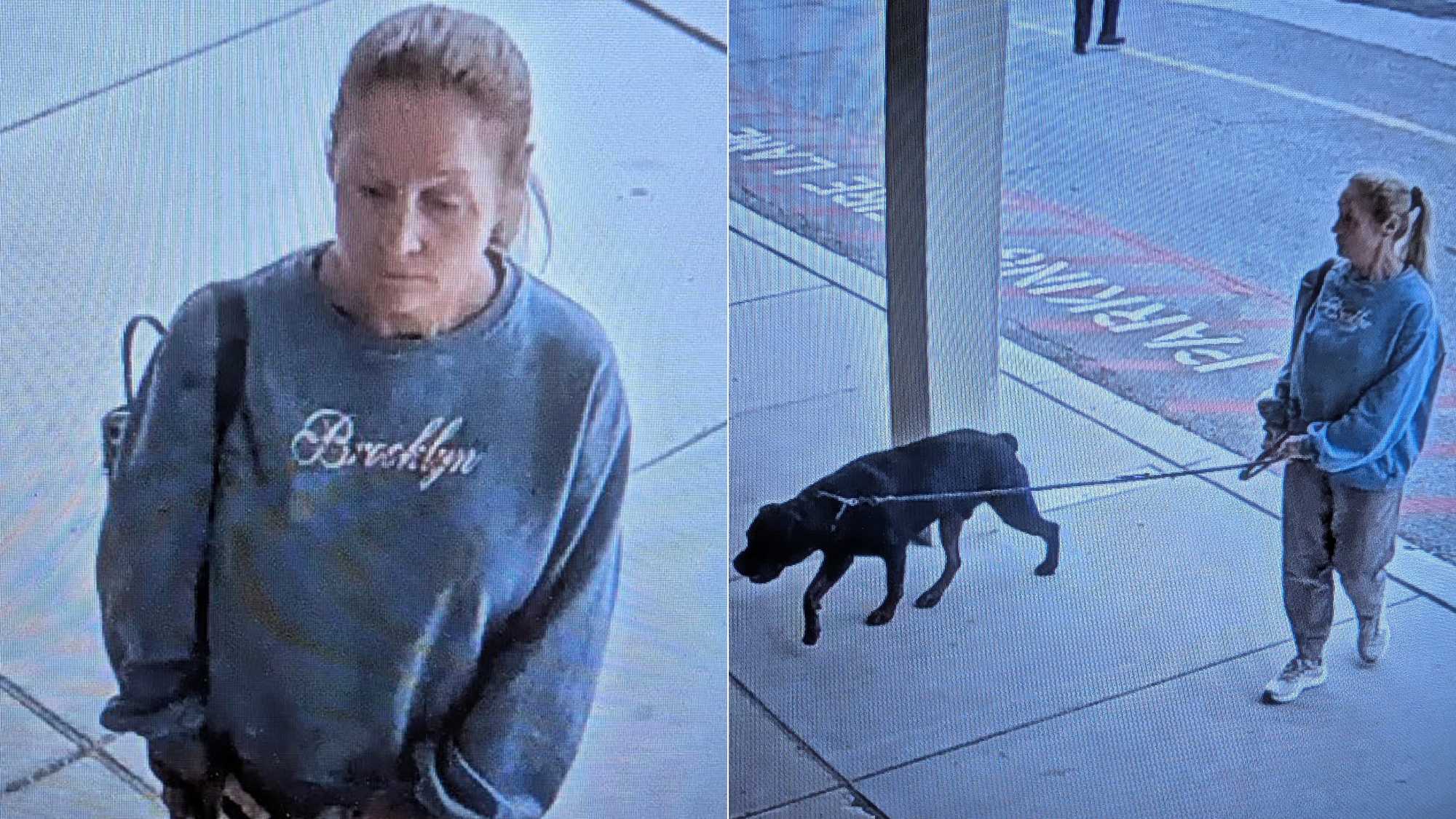 Police seek woman after dog attacked girl at shopping center