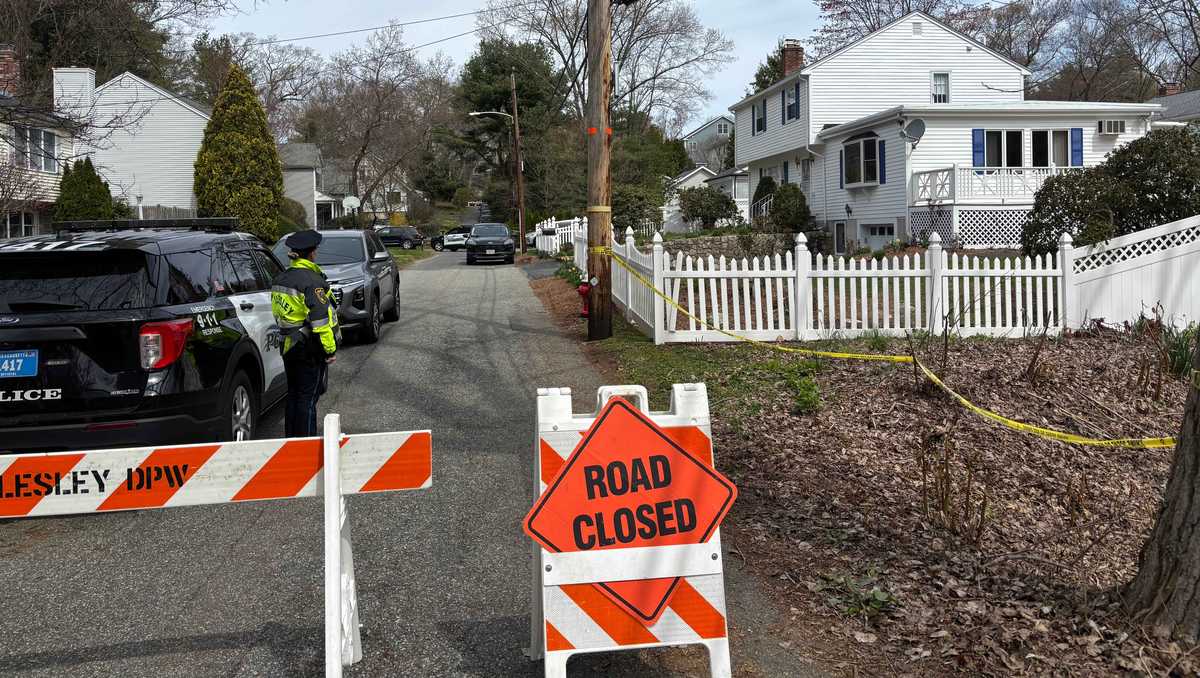 2 anak ditemukan tewas di rumah Wellesley setelah pemeriksaan kesejahteraan